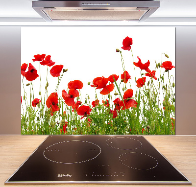 Achterwand keuken Klaprozen