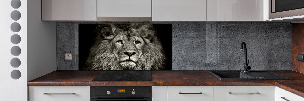 Spatscherm keuken Leeuw
