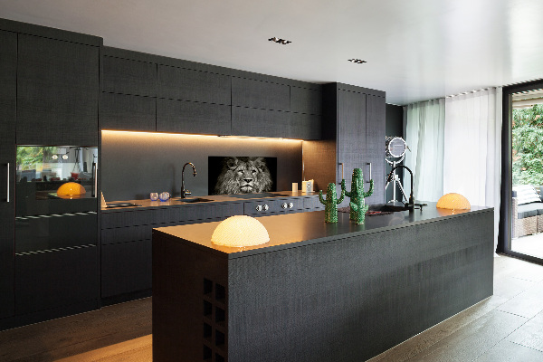 Spatscherm keuken Leeuw