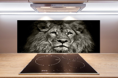 Spatscherm keuken Leeuw