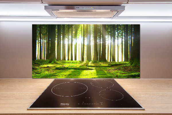 Spatplaat keuken Bos in de zon