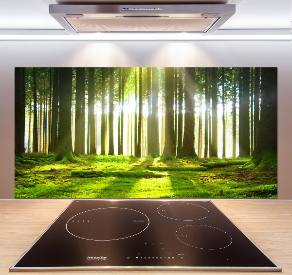 Spatplaat keuken Bos in de zon