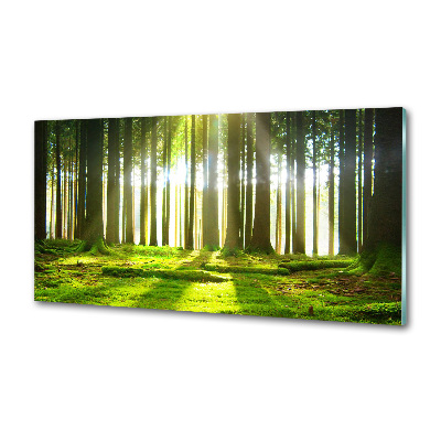 Spatplaat keuken Bos in de zon