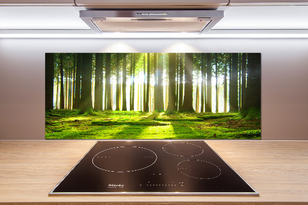 Spatplaat keuken Bos in de zon