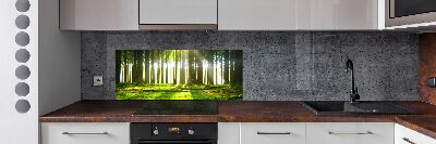 Spatplaat keuken Bos in de zon