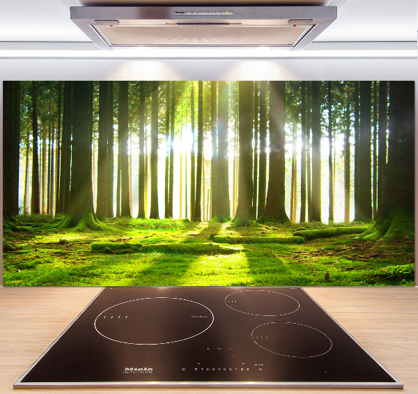 Spatplaat keuken Bos in de zon