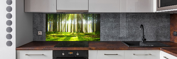 Spatplaat keuken Bos in de zon