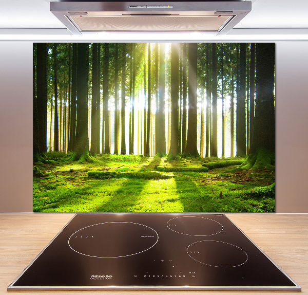 Spatplaat keuken Bos in de zon