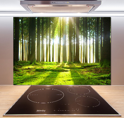 Spatplaat keuken Bos in de zon