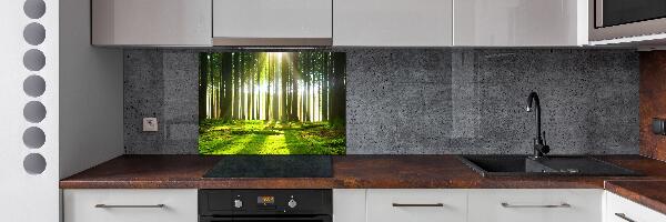 Spatplaat keuken Bos in de zon