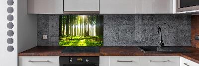 Spatplaat keuken Bos in de zon