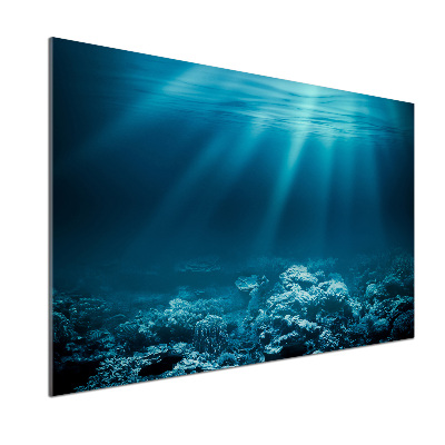 Keuken achterwand Onderwaterwereld