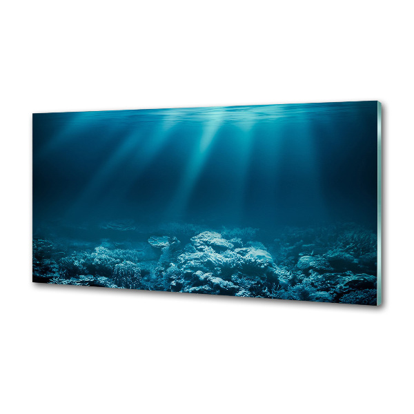 Keuken achterwand Onderwaterwereld