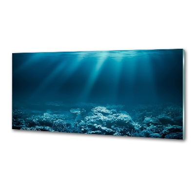Keuken achterwand Onderwaterwereld