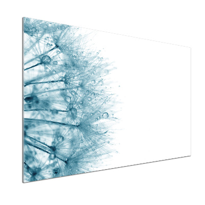 Panel dekor szkło Dmuchawiec