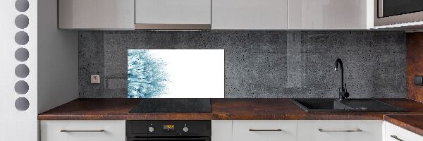 Spatplaat keuken Paardebloem
