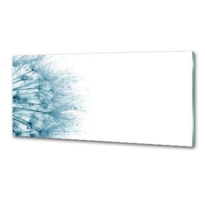 Panel dekor szkło Dmuchawiec