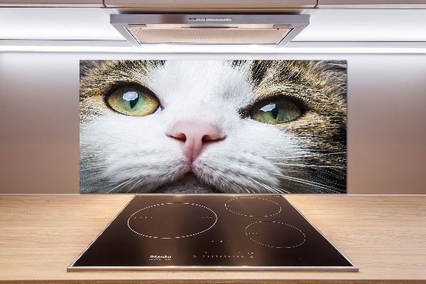 Keuken achterwand Groene kattenogen
