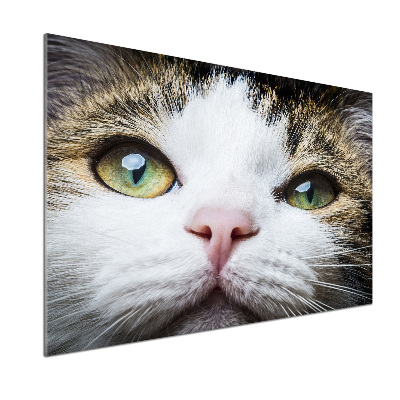 Keuken achterwand Groene kattenogen