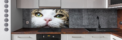 Keuken achterwand Groene kattenogen