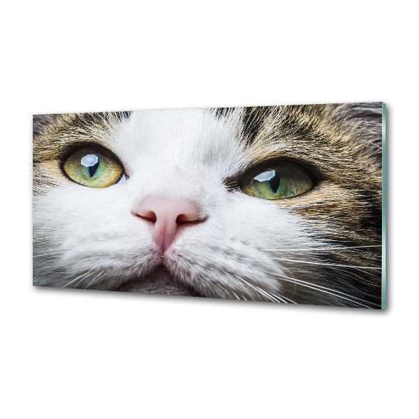 Keuken achterwand Groene kattenogen