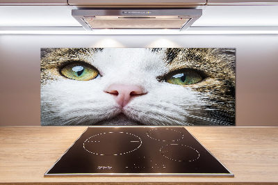 Keuken achterwand Groene kattenogen