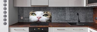 Keuken achterwand Groene kattenogen