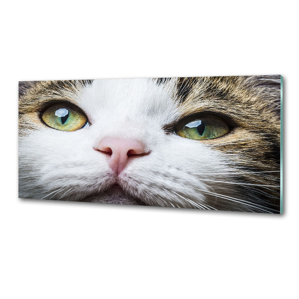 Keuken achterwand Groene kattenogen