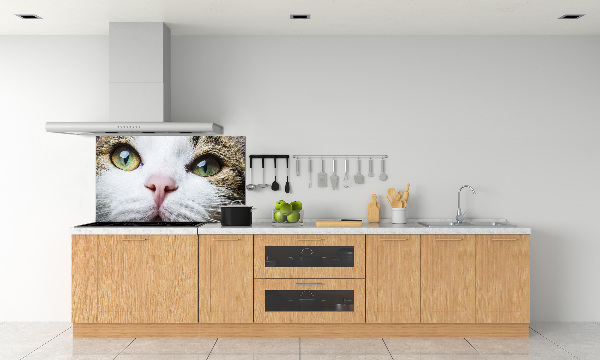 Keuken achterwand Groene kattenogen