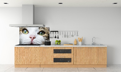 Keuken achterwand Groene kattenogen
