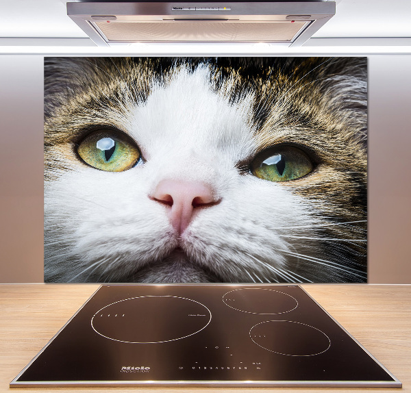 Keuken achterwand Groene kattenogen
