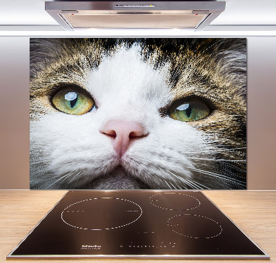 Keuken achterwand Groene kattenogen