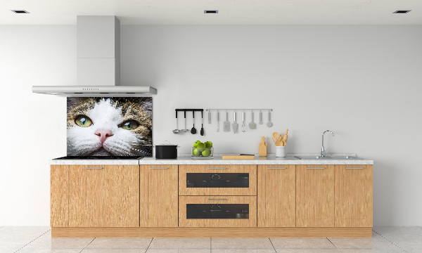 Keuken achterwand Groene kattenogen