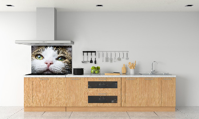 Keuken achterwand Groene kattenogen