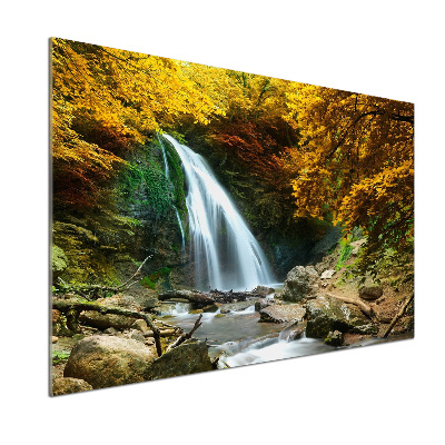 Spatplaat keuken Waterval in het bos