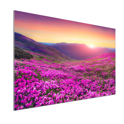 Keuken achterwand Roze heuvels