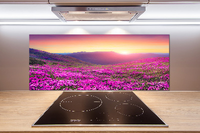 Keuken achterwand Roze heuvels