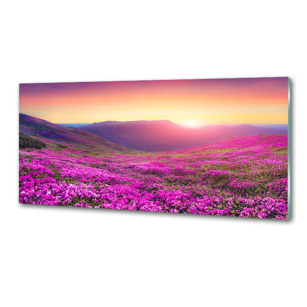 Keuken achterwand Roze heuvels