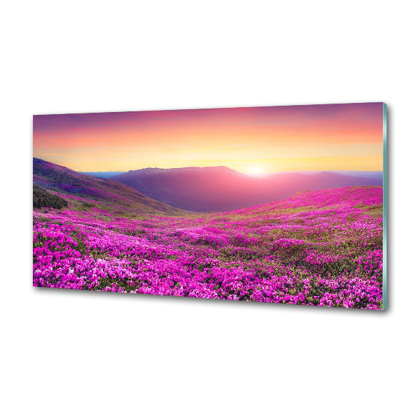 Keuken achterwand Roze heuvels