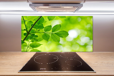 Panel do kuchni Zielone liście