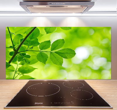 Glazen achterwand keuken Groene bladeren