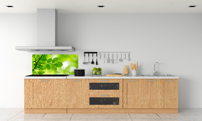 Glazen achterwand keuken Groene bladeren
