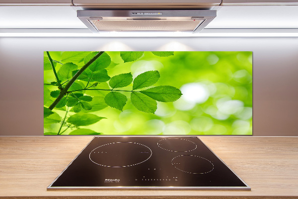 Glazen achterwand keuken Groene bladeren