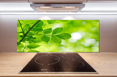 Glazen achterwand keuken Groene bladeren