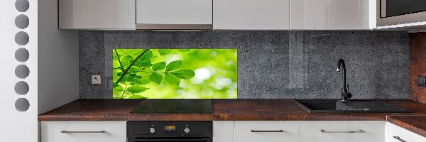 Glazen achterwand keuken Groene bladeren