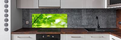 Glazen achterwand keuken Groene bladeren