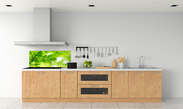 Glazen achterwand keuken Groene bladeren