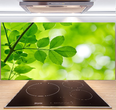 Glazen achterwand keuken Groene bladeren