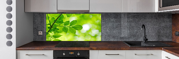 Glazen achterwand keuken Groene bladeren