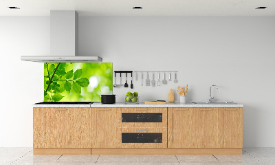 Glazen achterwand keuken Groene bladeren